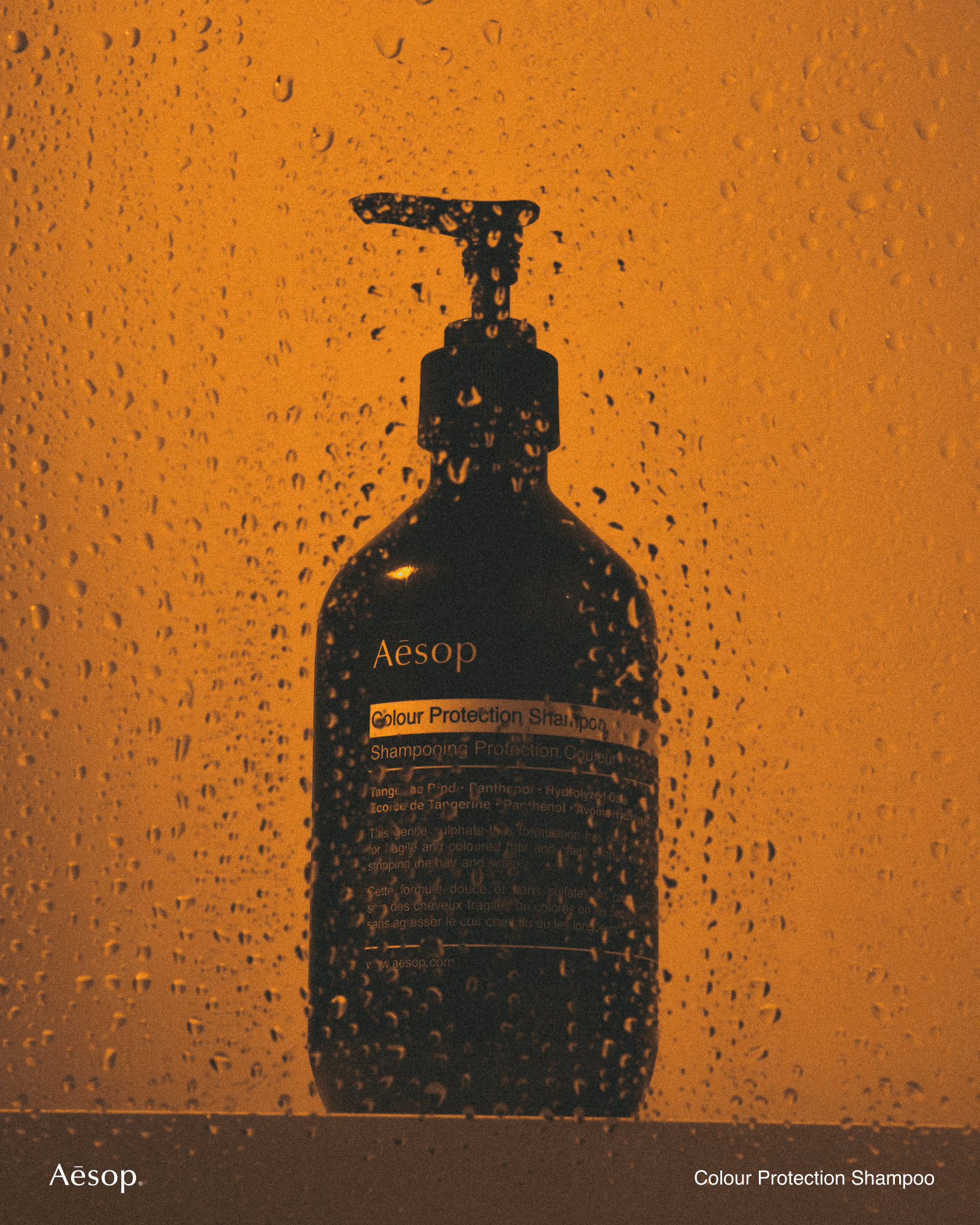 Aesop